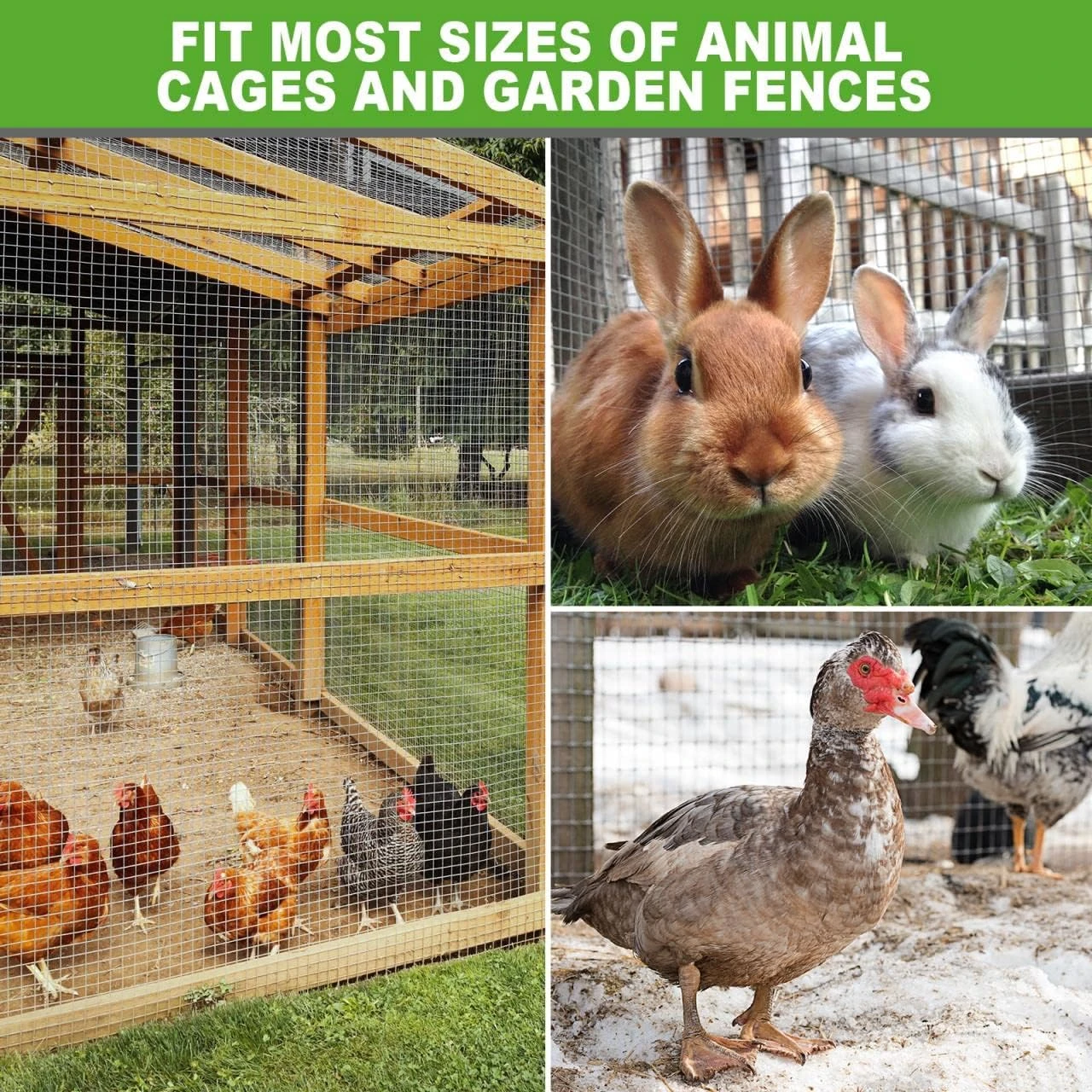  Multifunctional use: You can freely cut this chicken wire fencing into what appearances you want. The galvanized wire mesh screen roll can effectively protect your garden fruits, vegetables, flowers, and other plants from rodents. While install this mesh wire, please dig a shallow trench first and install the fence 2 to 3 feet deep in ground, so that it will provide the most beneficial protection for your ground. The 1/2inch net diameter can block most crawling creatures